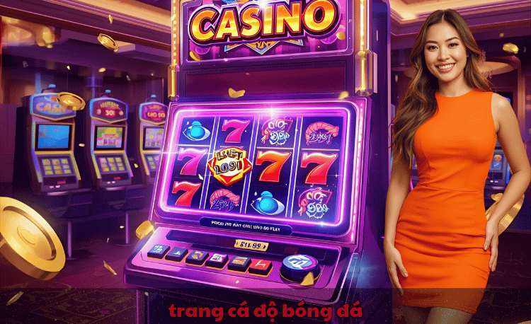 trang cá độ bóng đá